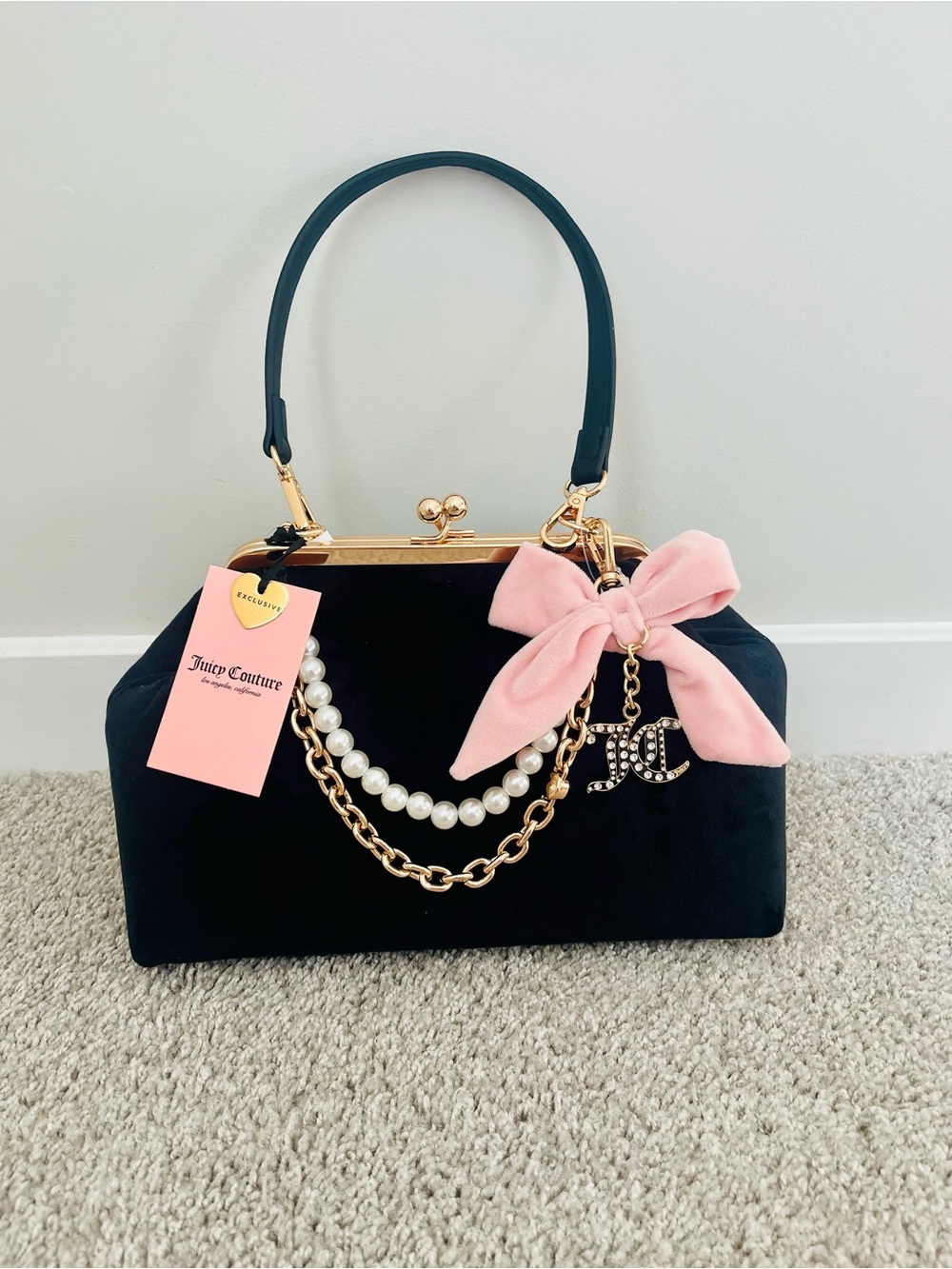 NWT Juicy Couture
Velour Kisslock -
Fashion Items Charm
Haus Frame Clutch